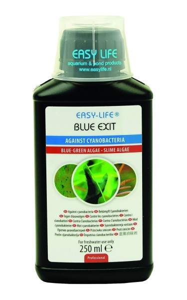Easy-Life Blue Exit